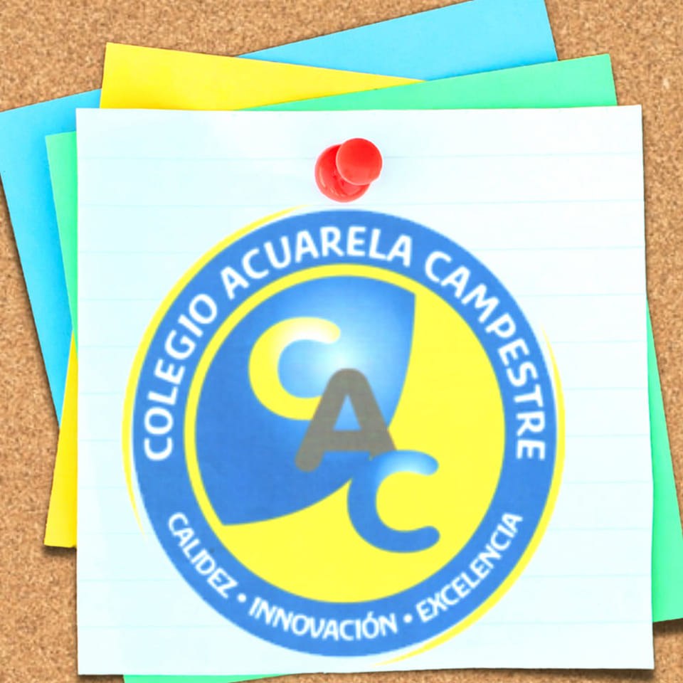 455665570_1129329175617503_494233912851389479_n